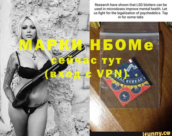 гидропоника Алзамай