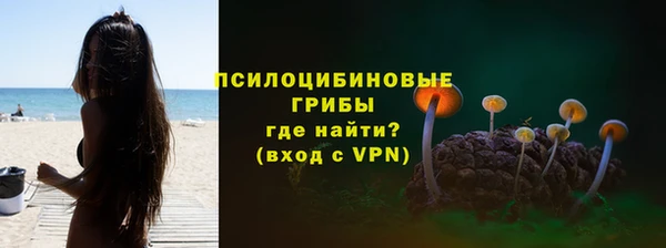 СК Алексин