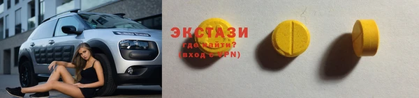 СК Алексин