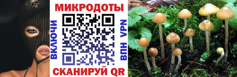 KRAKEN маркетплейс  Тосно  Галлюциногенные грибы Magic Shrooms 